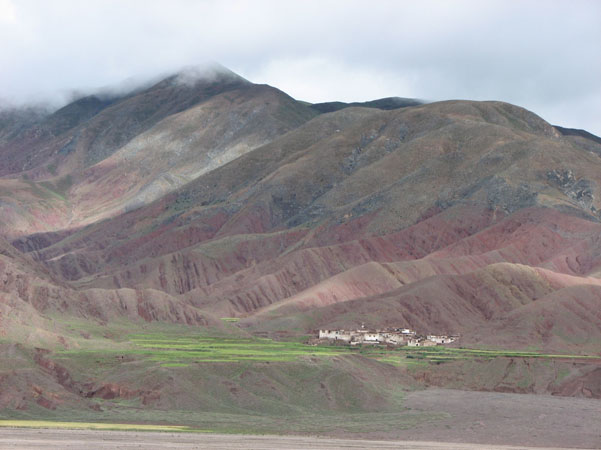 Sakya 21